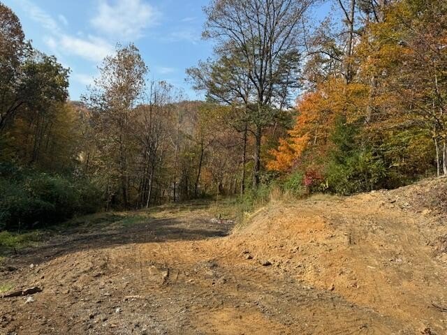 Unrestricted Land Near US Highway