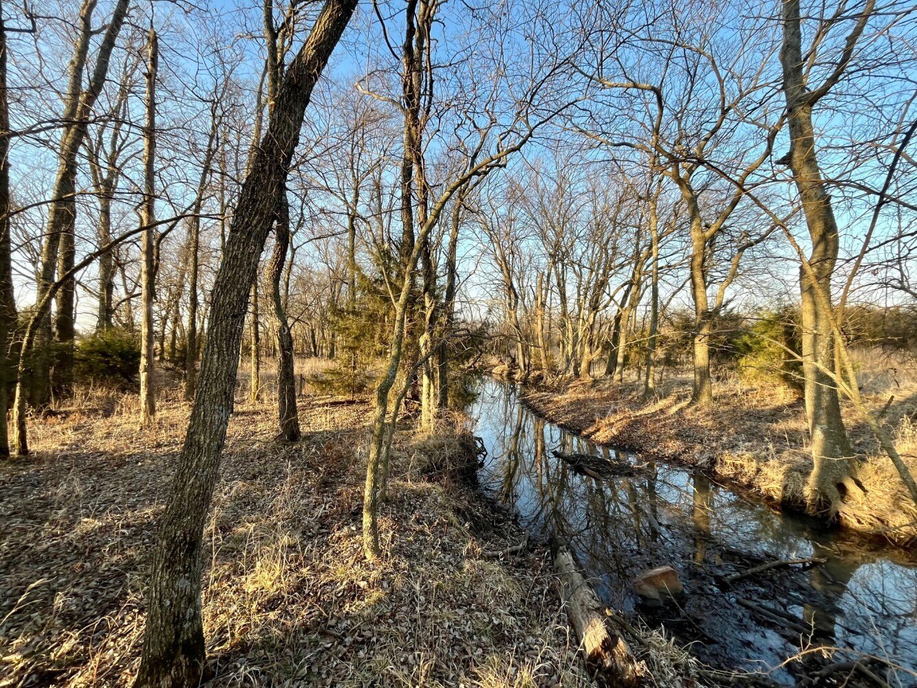 Erie, KS Hunting Land