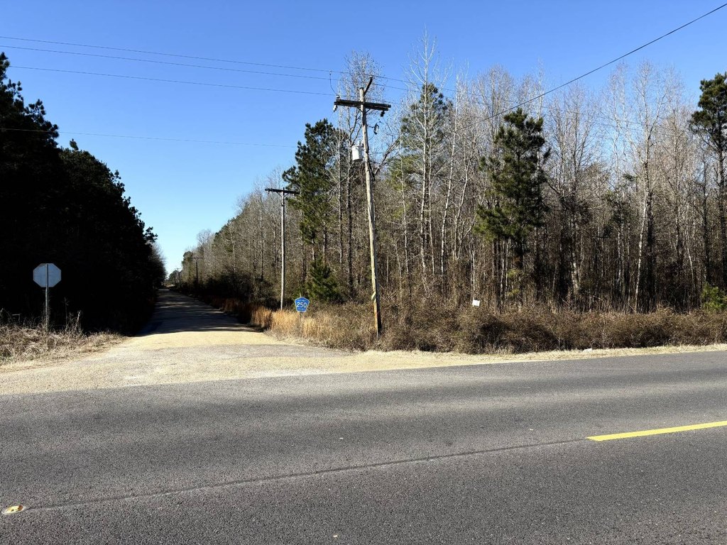 Picture 4