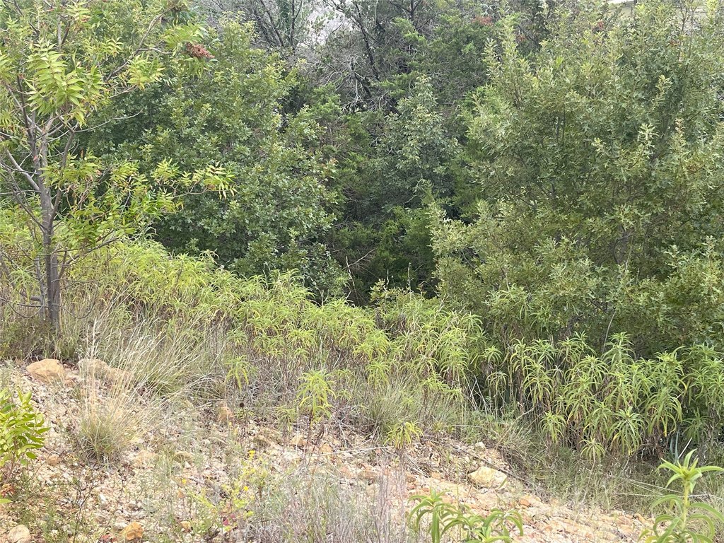 Picture 14