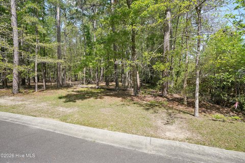 Land, Shallotte, NC
