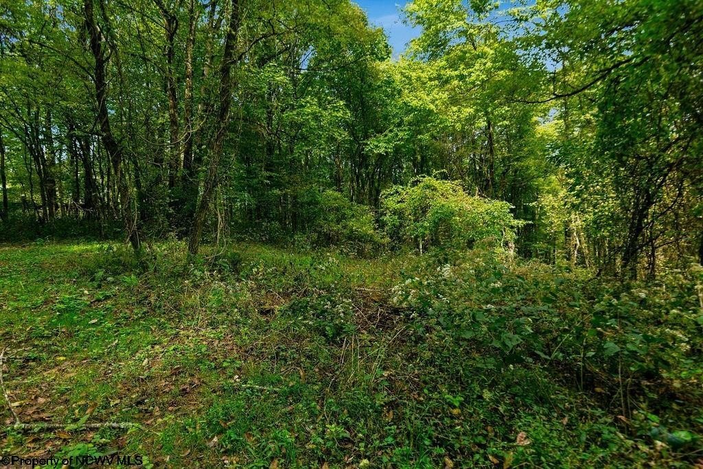 Picture 17