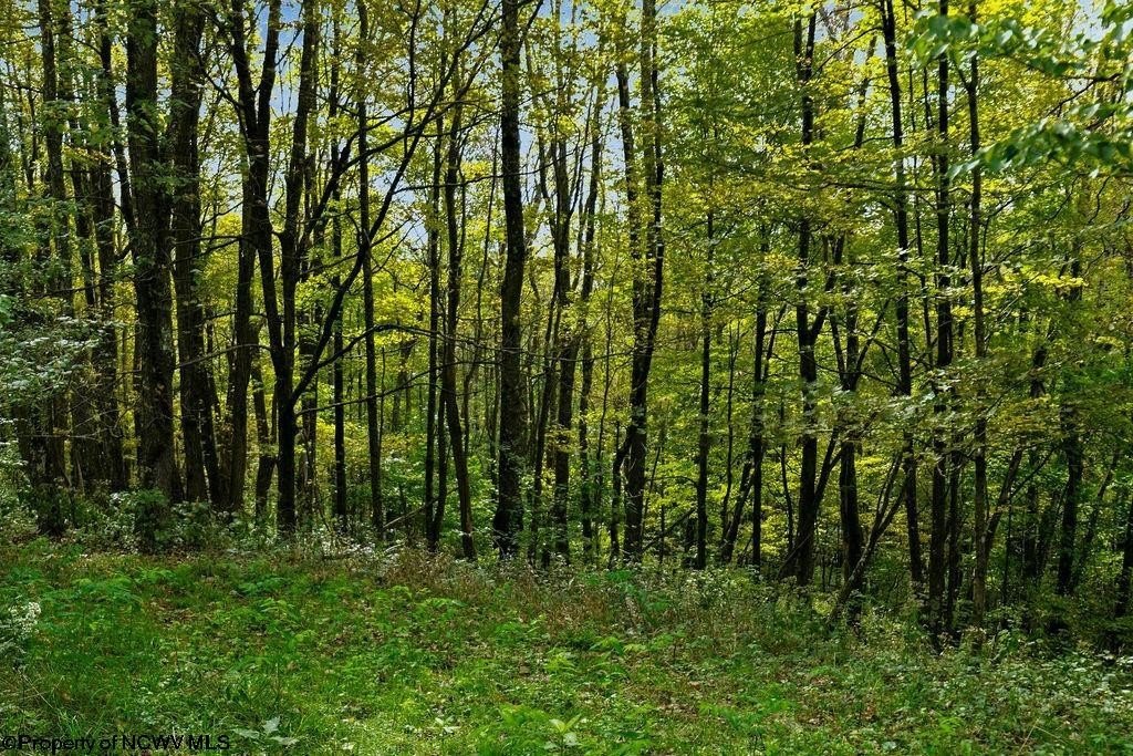 Picture 10
