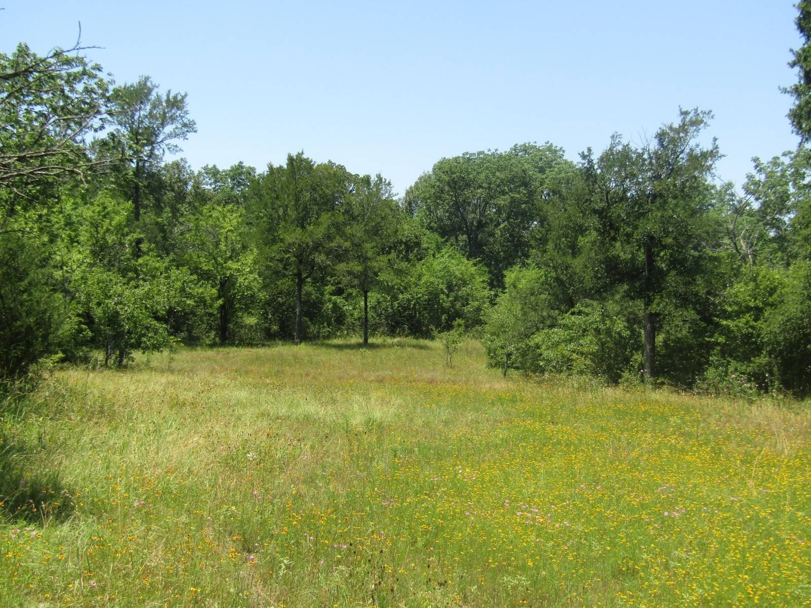 40 Acres Recreational Hunting Land