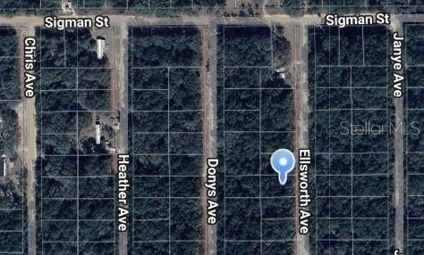 Land Near Lake Grandin