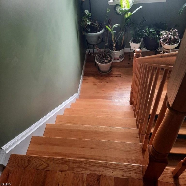 Picture 14
