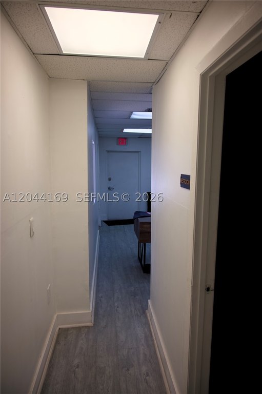 Picture 12
