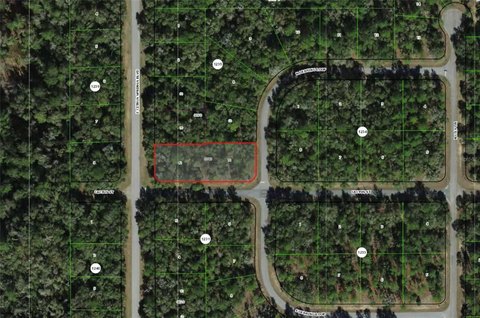 Vacant Lot in Citrus Springs