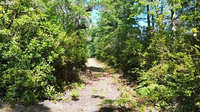 Picture 7
