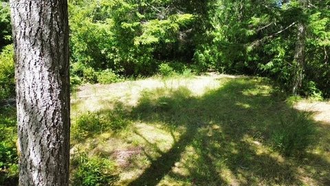 LAND - Florence, OR