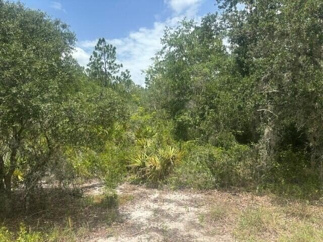 Picture 6