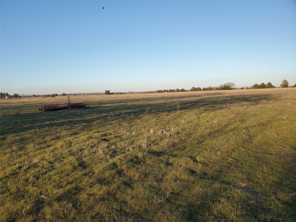 Picture 11