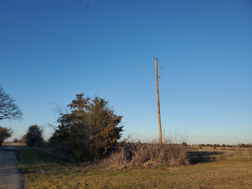 Picture 14