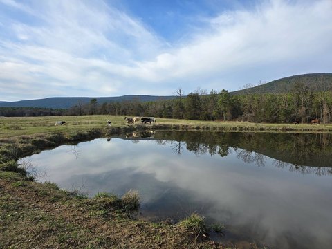 Rural Acreage With Pond and Pasture