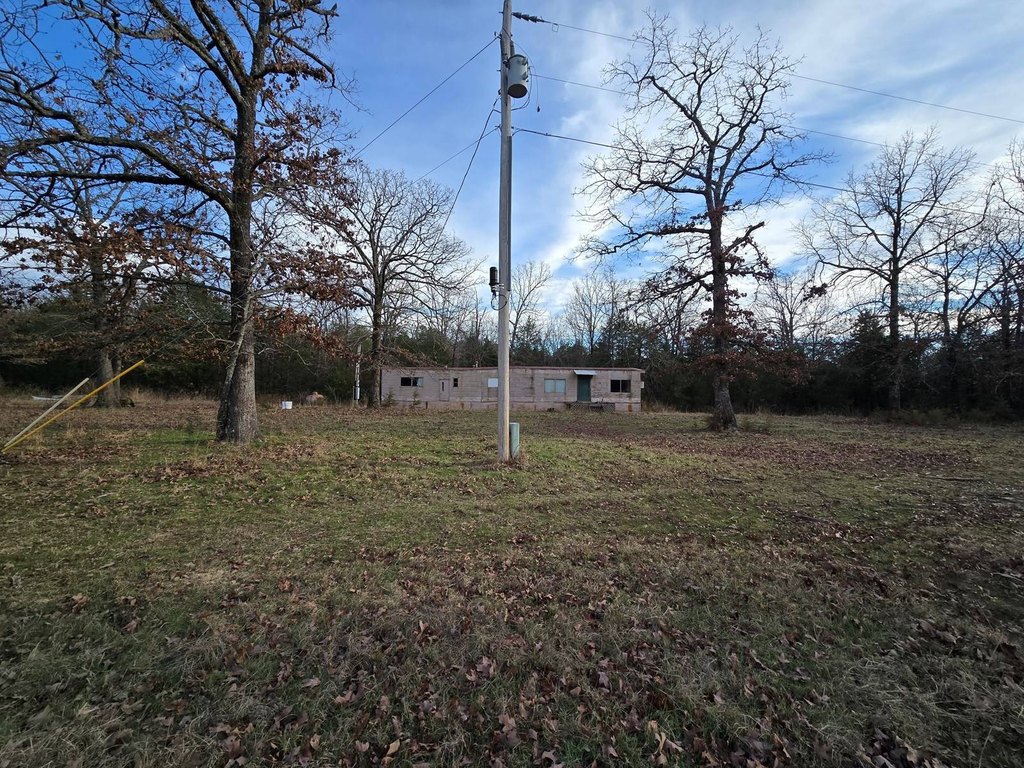 Picture 19