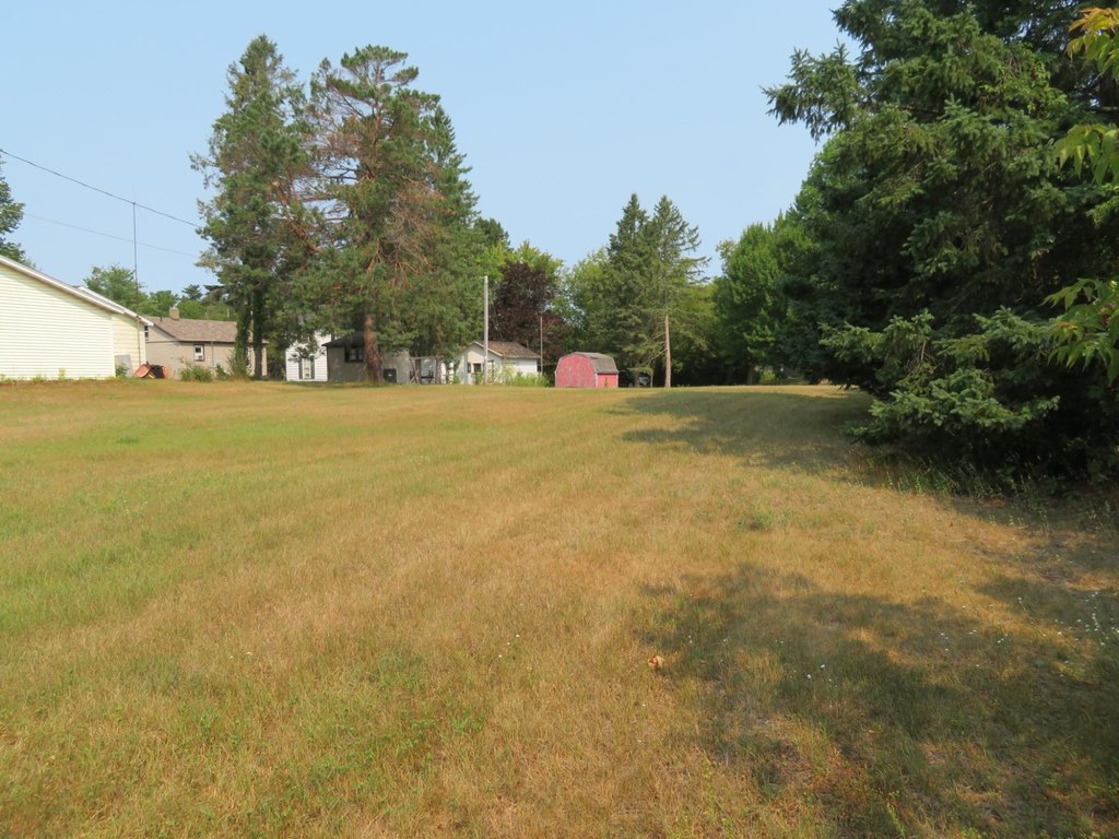 Picture 7