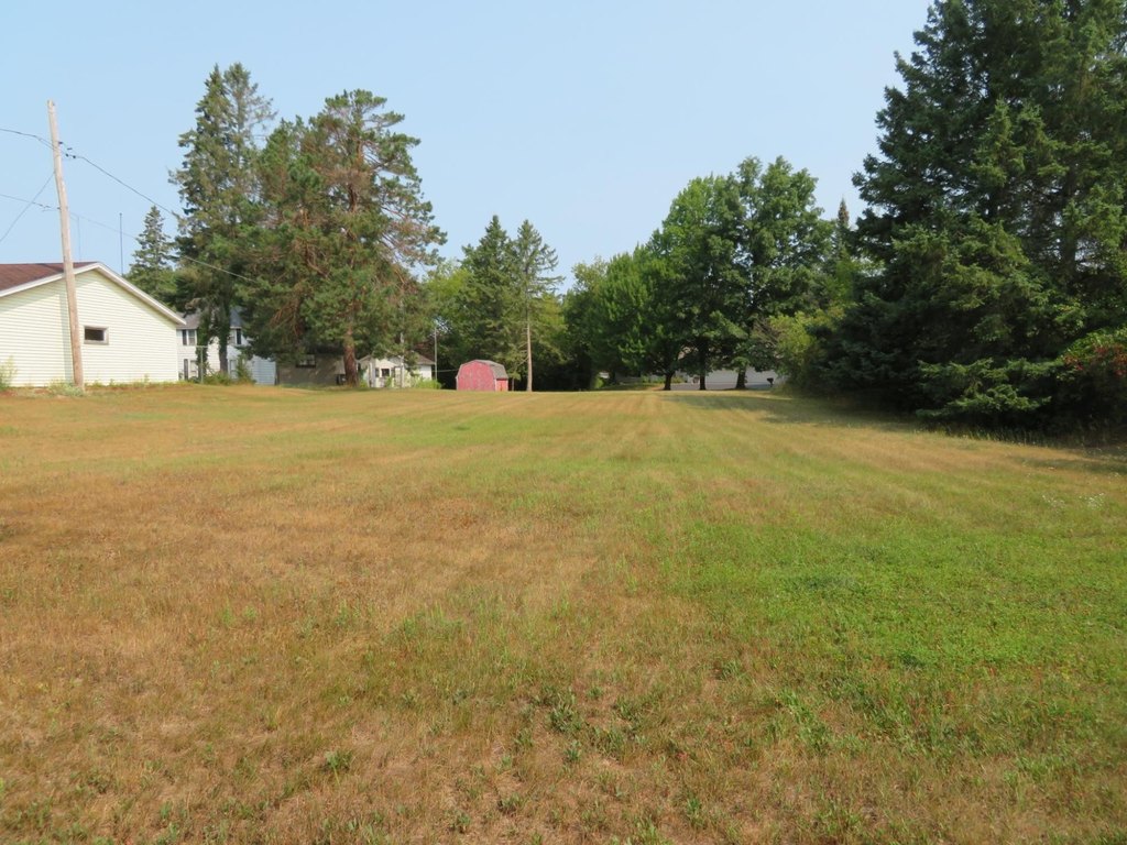 Picture 6