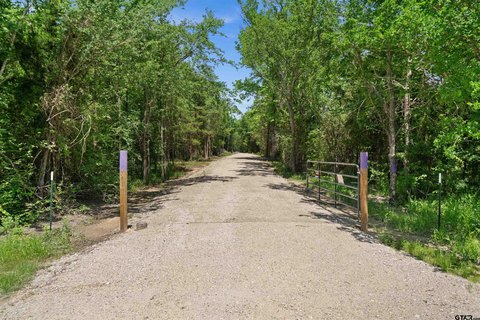 Wooded Land Tract for Development