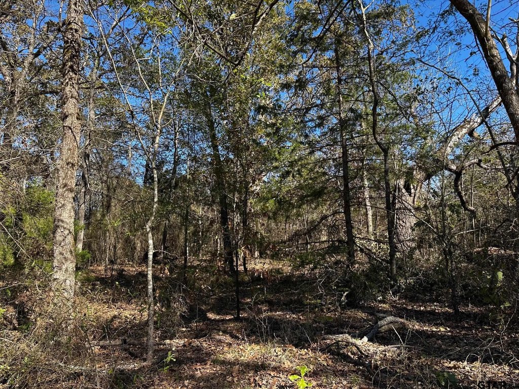 Picture 19