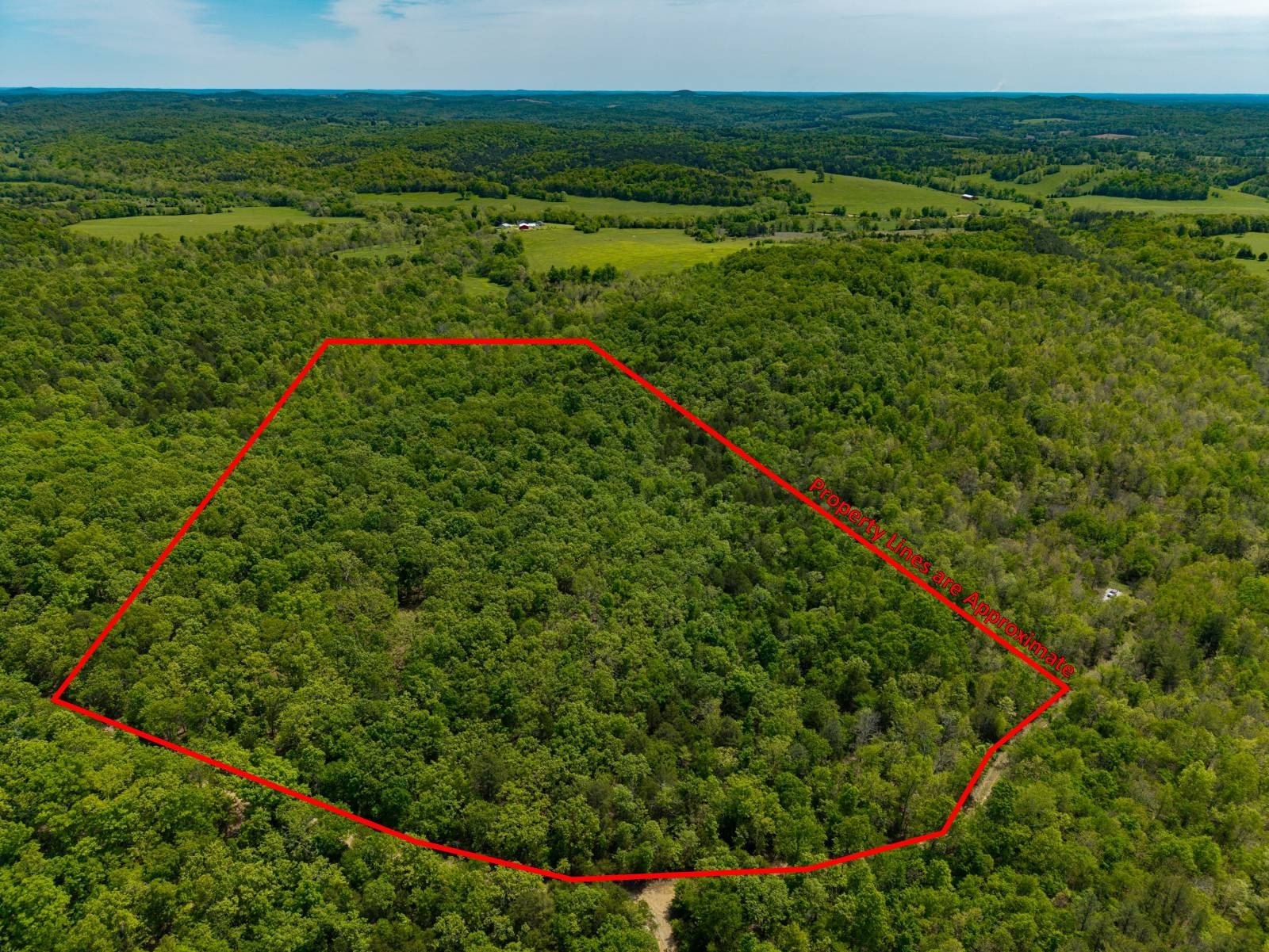 Secluded Wooded Land Near Highway