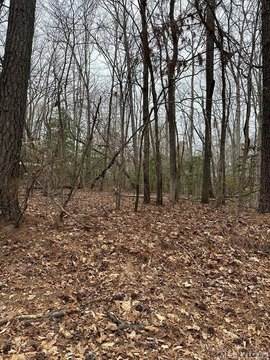 Residential Land in Henrico, NC
