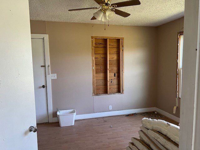 Picture 19