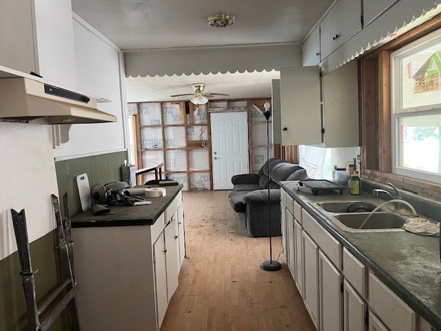 Picture 15