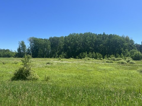 Blackhoof, MN Residential Land