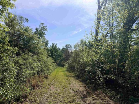 Undeveloped Land Near Hamburg, AR