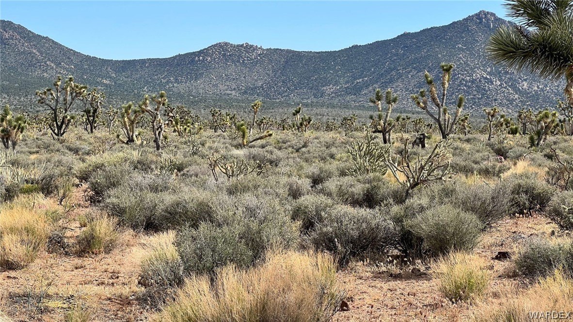 Meadview, AZ Land with Views