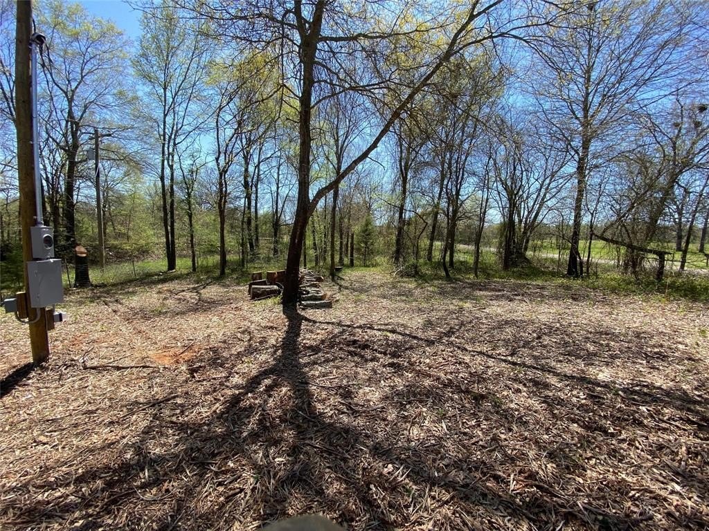 Picture 6