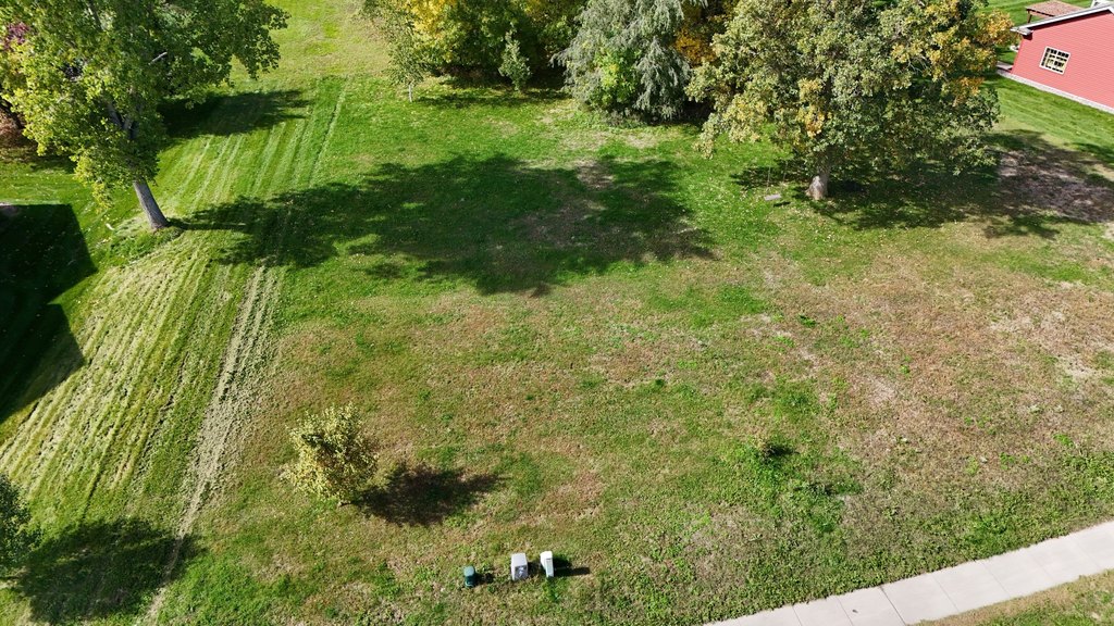Picture 3
