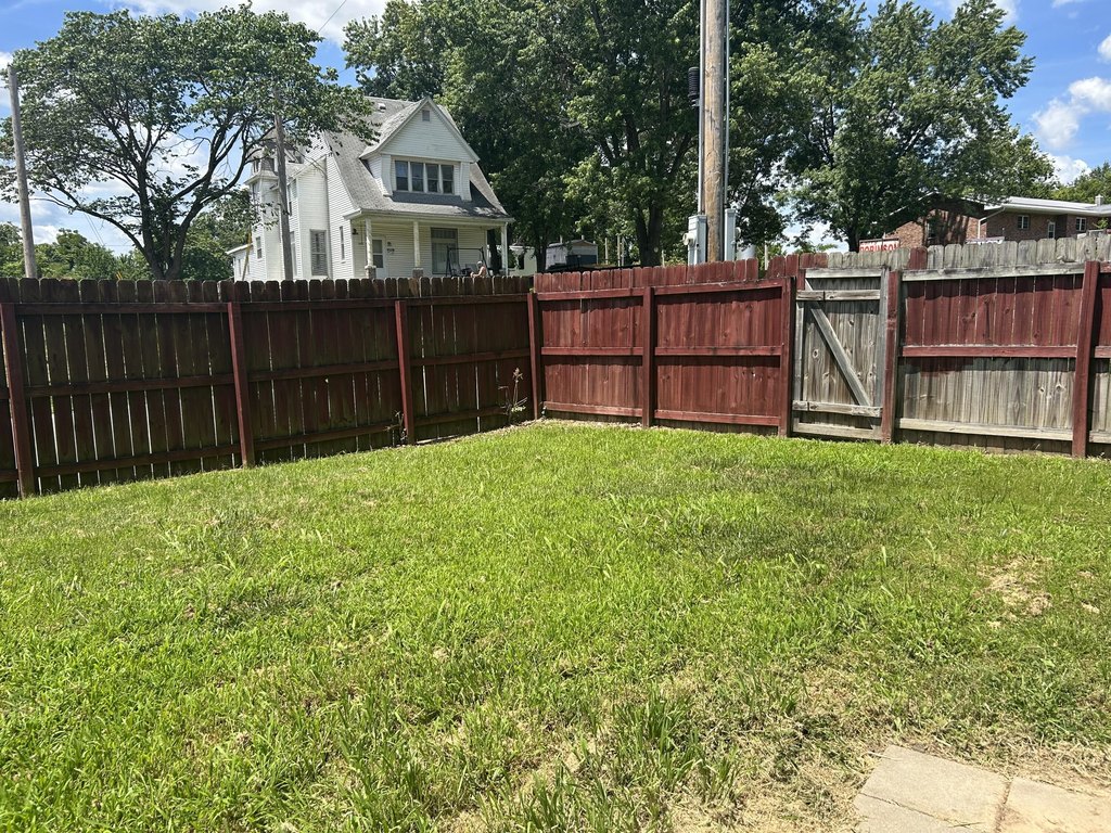 Picture 14