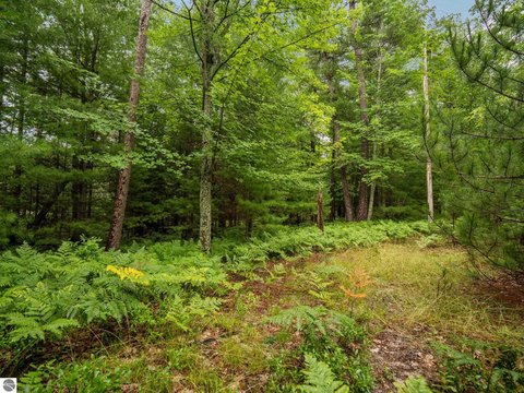 Industrial Zoned Land Parcel