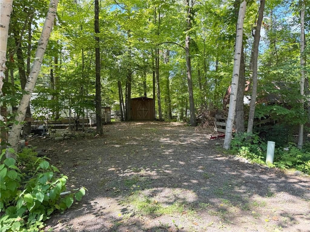 Picture 19