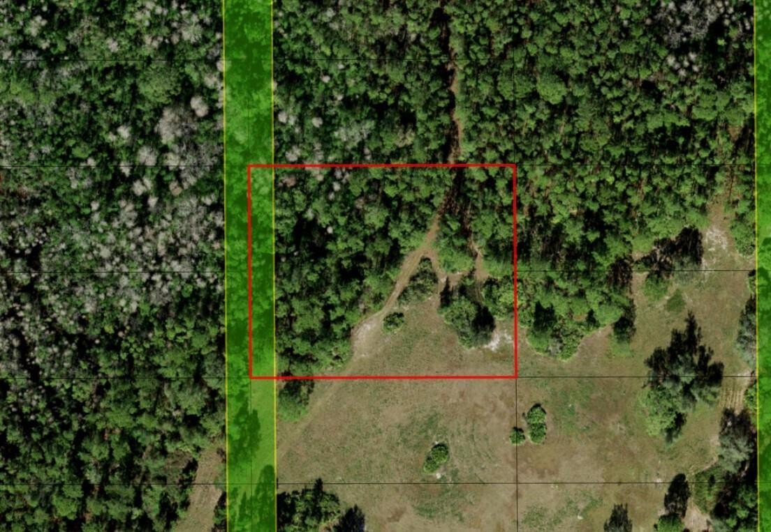 Hunting Land with Trail Access