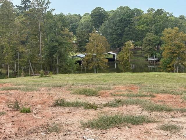 Picture 2