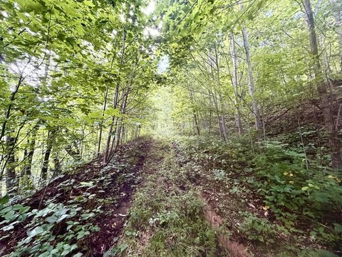 Land, Waynesville, NC