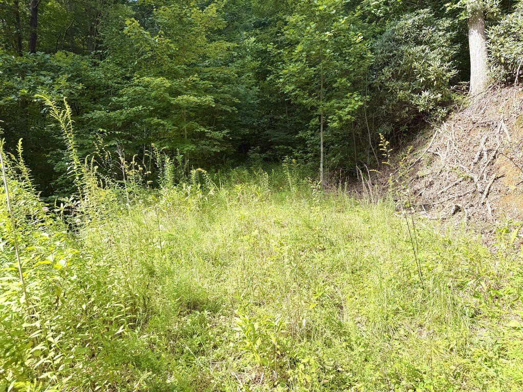 Picture 17