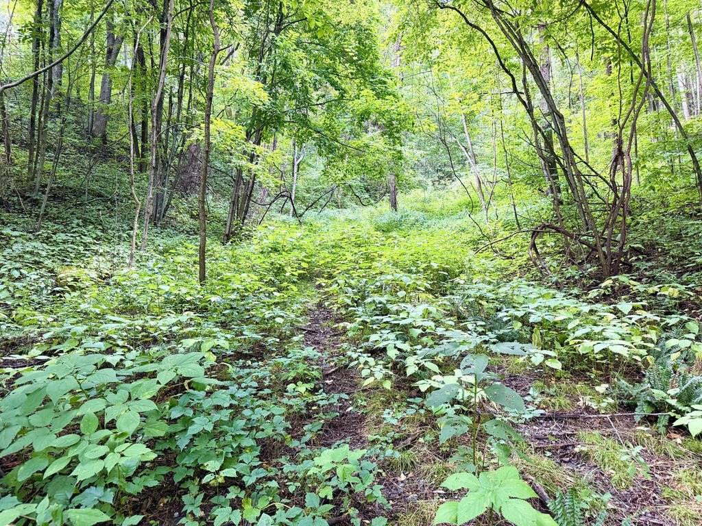 Picture 9