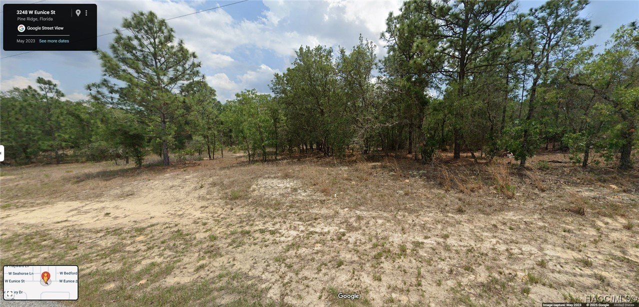 Citrus Springs Quarter Acre Parcel