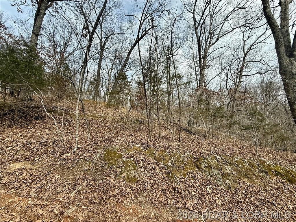 Wooded Land for Recreational Use