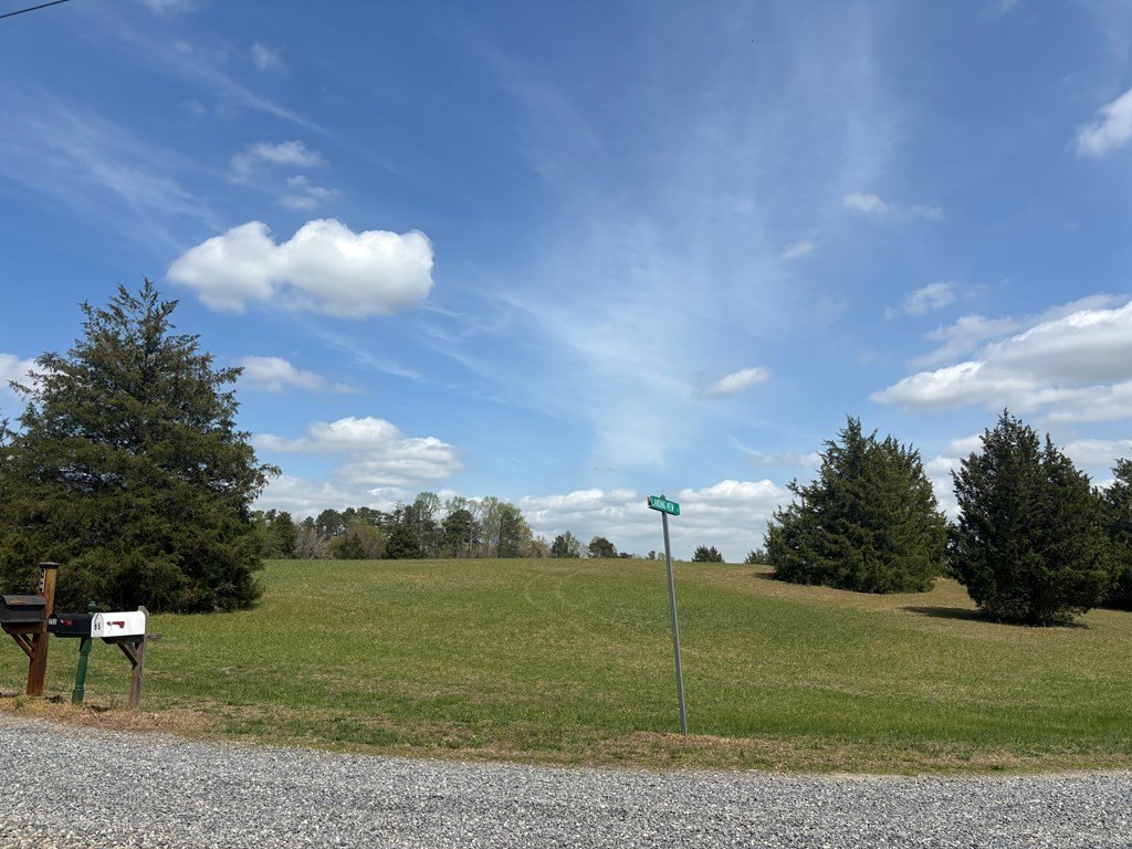 Picture 6