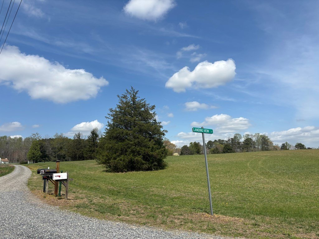 Picture 4