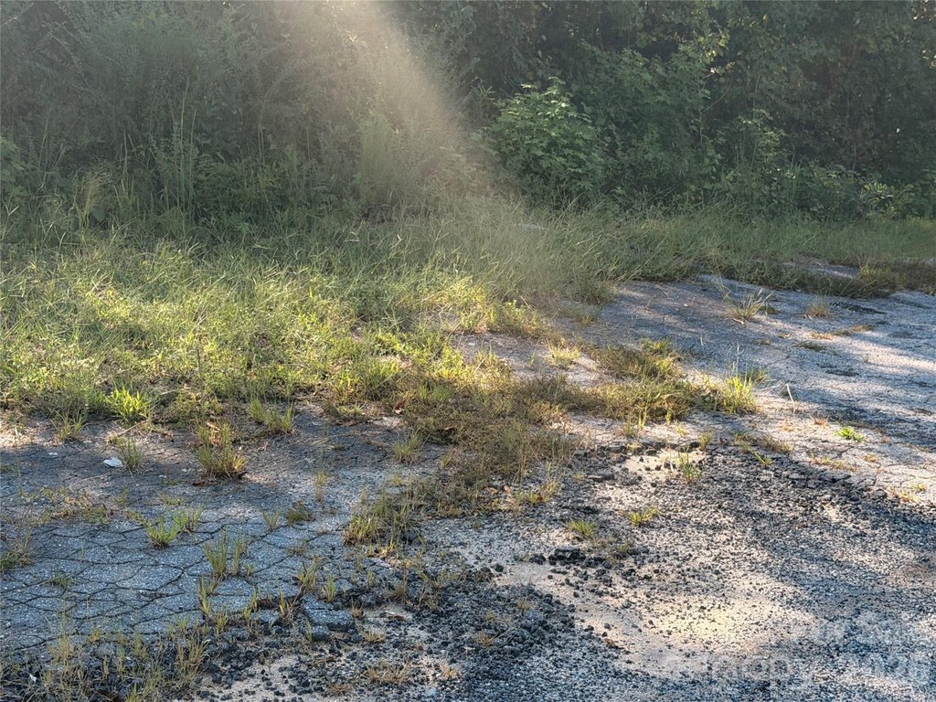 Picture 25