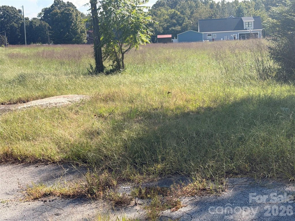 Picture 26
