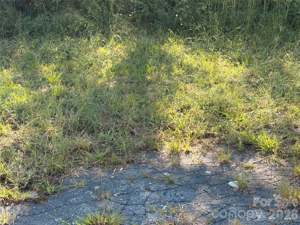 Picture 27