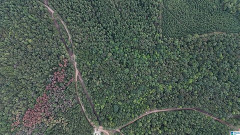 LAND/LOTS, WEDOWEE, AL