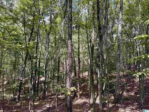 LAND/LOTS, WEDOWEE, AL