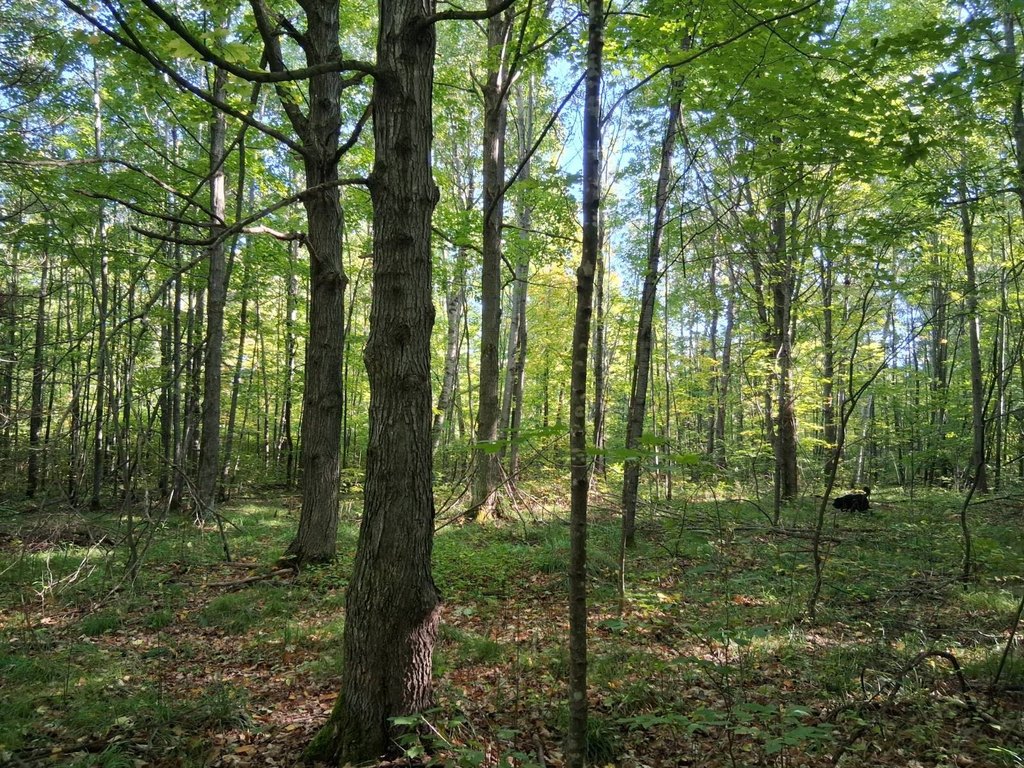 Picture 7